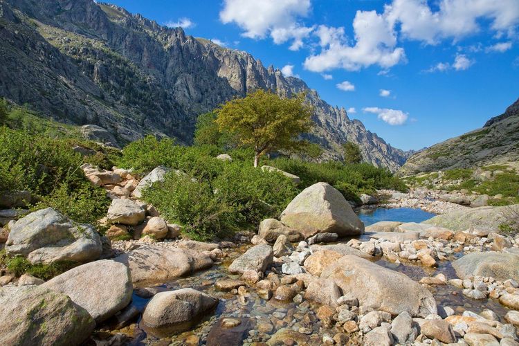 Gorges de la Restonica