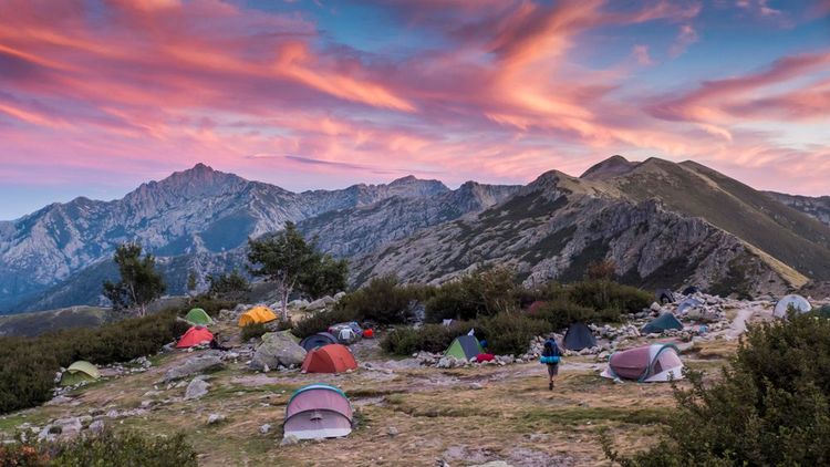 tente-gr20