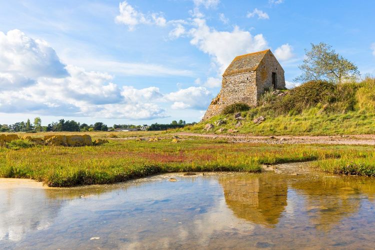 Marais du Cotentin