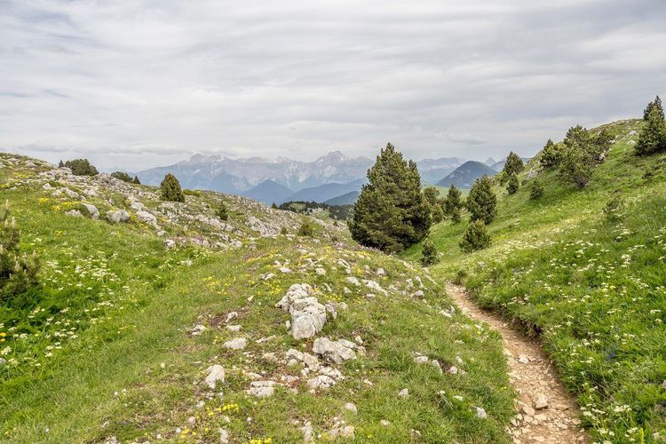 Hauts-Plateaux du Vercors