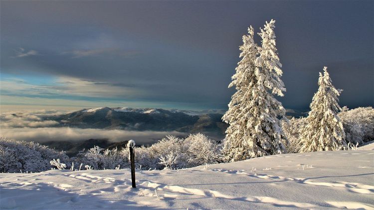 Massif des Vosges