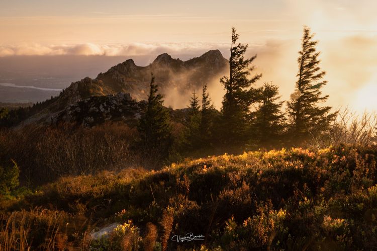mont pilat