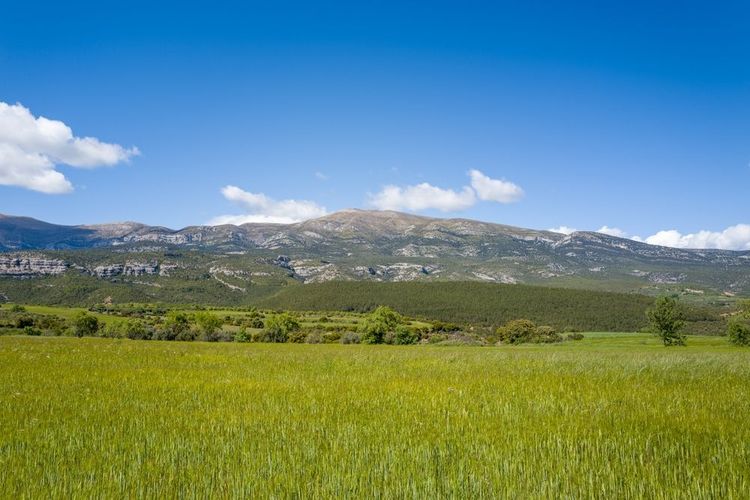 paysage-aragon
