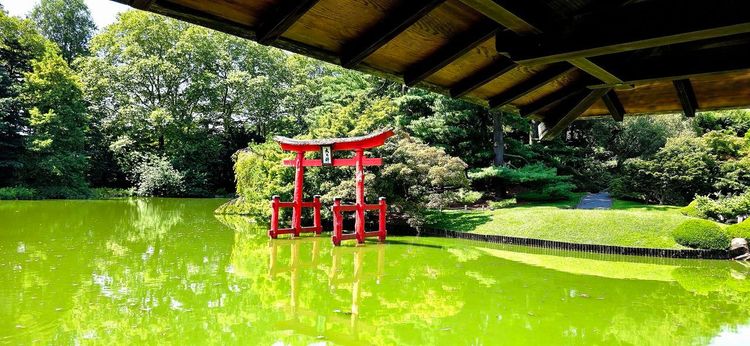 Jardin japonais Brooklyn Botanic