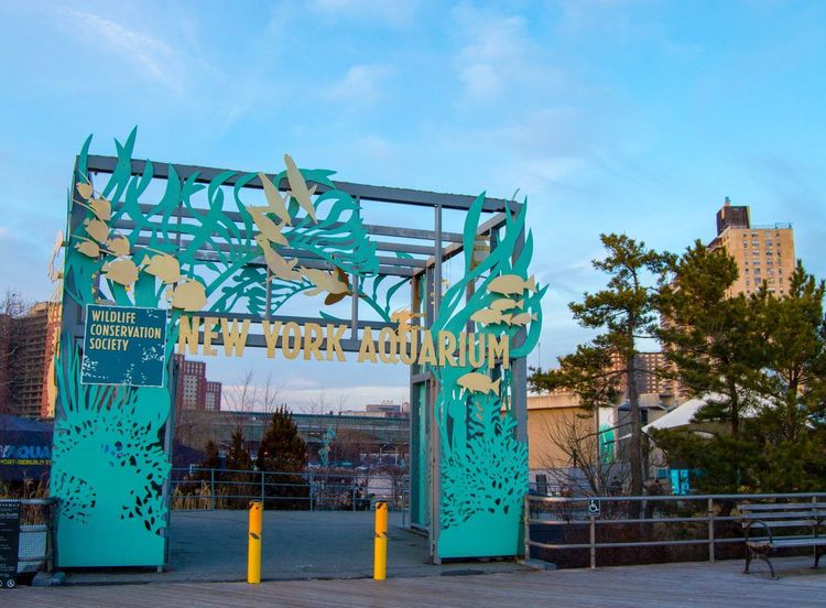New York Aquarium