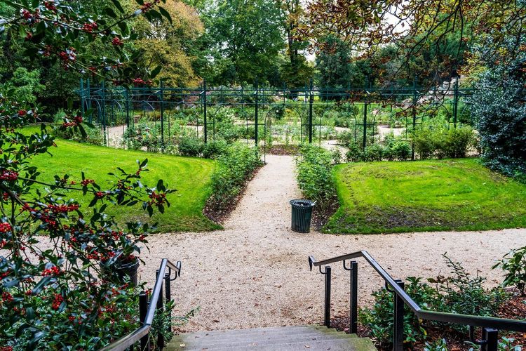 Iveagh Gardens