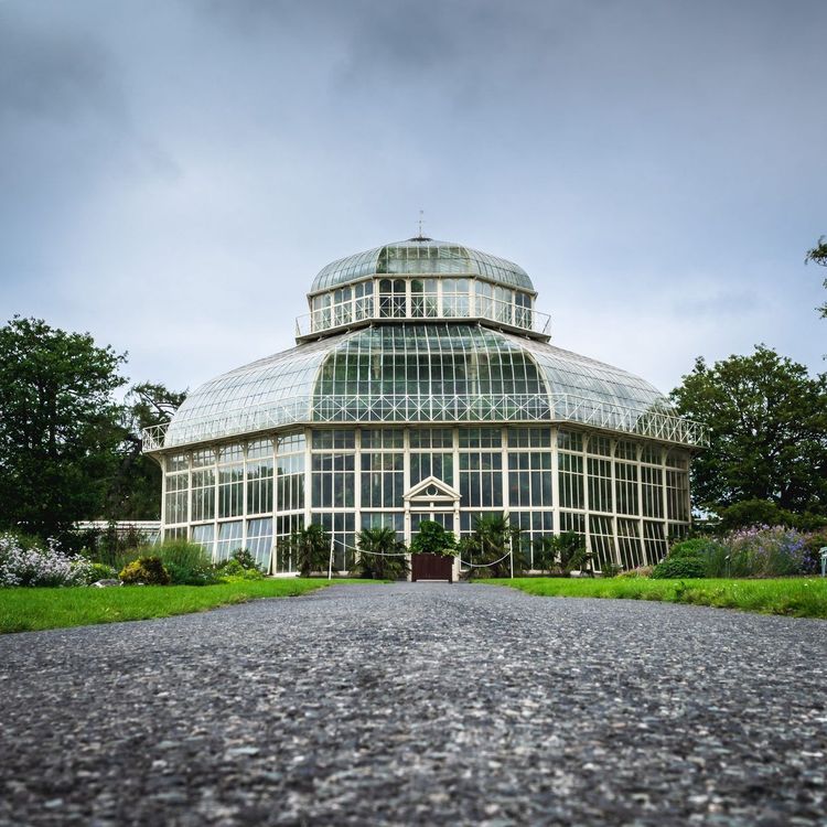 Jardins Botaniques Nationaux Dublin