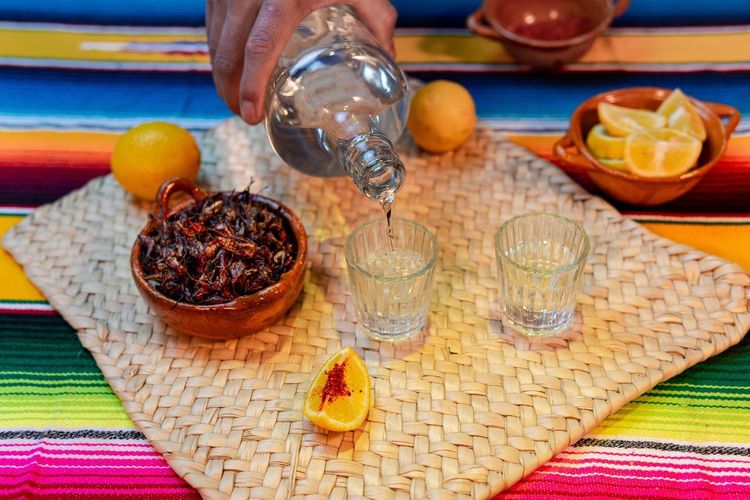 bar mezcal mexicain