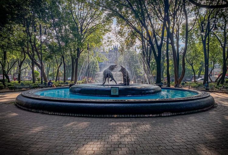 Jardín Centenario Coyoacán
