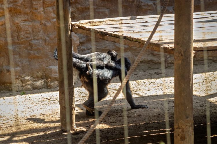 Zoo de Clères