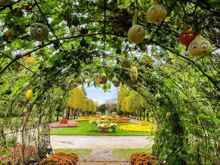 Jardin des Plantes de Rouen