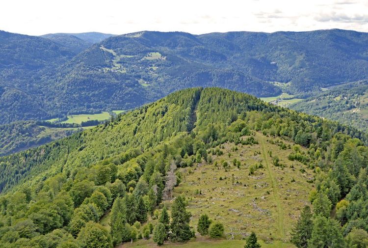 Markstein Vosges