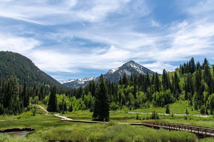 Big Cottonwood Canyon