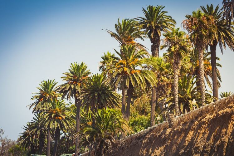 Palisades Park Santa Monica