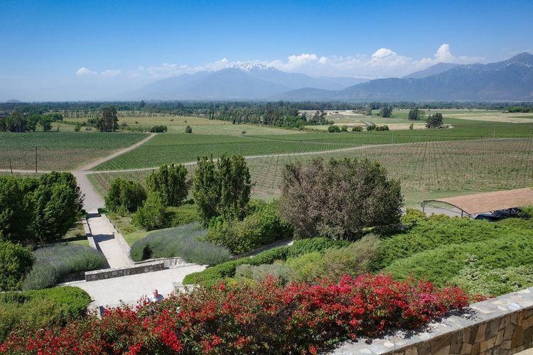 Andes Santiago vignobles