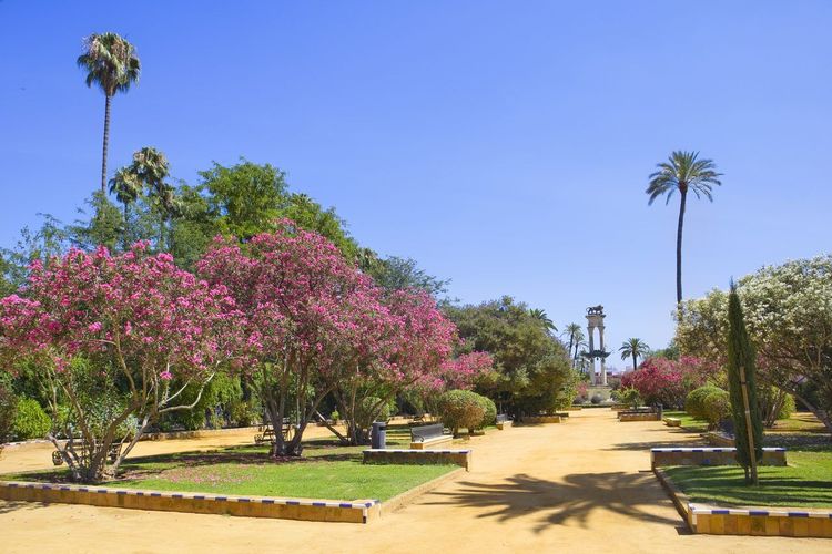 Jardines de Murillo