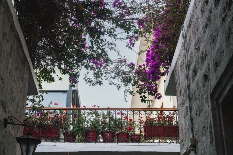 hôtel boutique colonial Arequipa