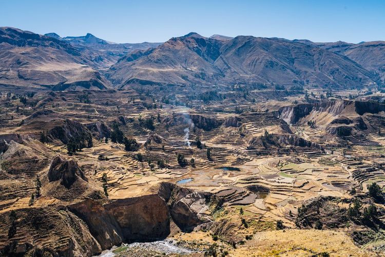 Canyon Colca