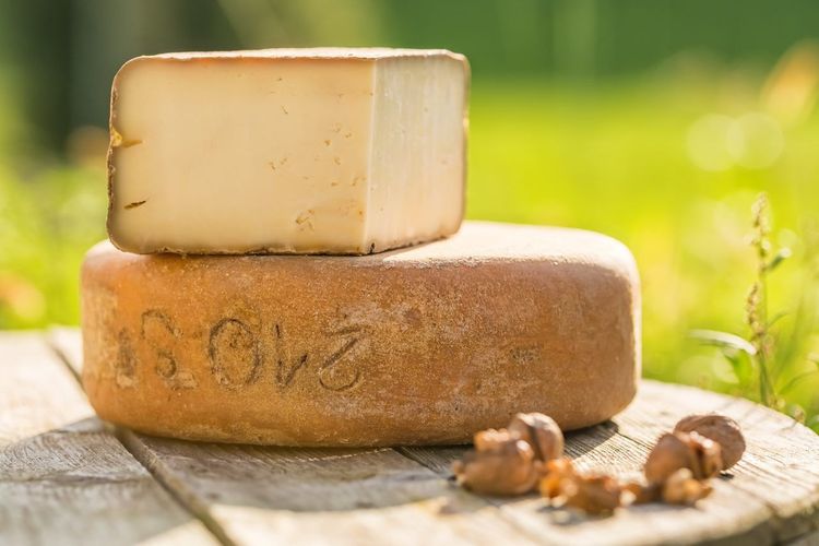 fromage brebis Ossau-Iraty