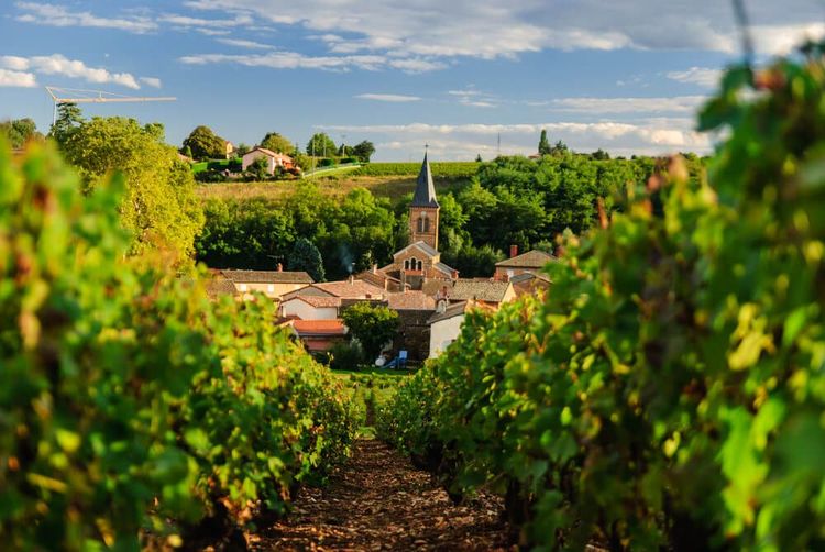 spécialités Lyon vin beaujolais