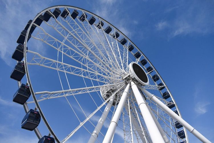 Navy Pier