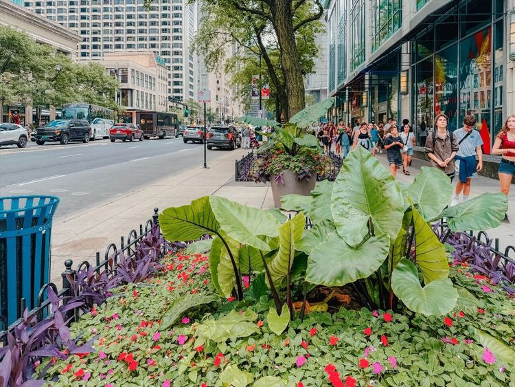 Magnificent Mile