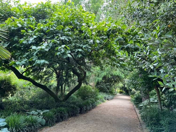 Nizza Park