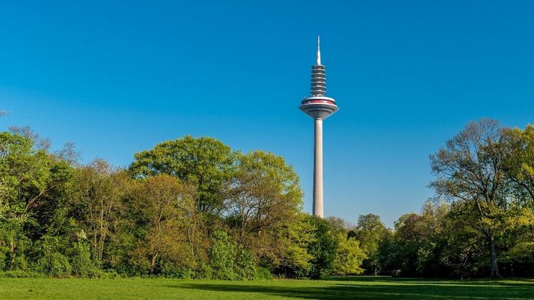 Grüneburgpark