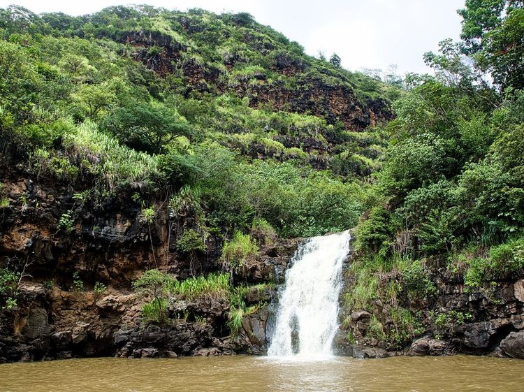 Waimea Valley cascade