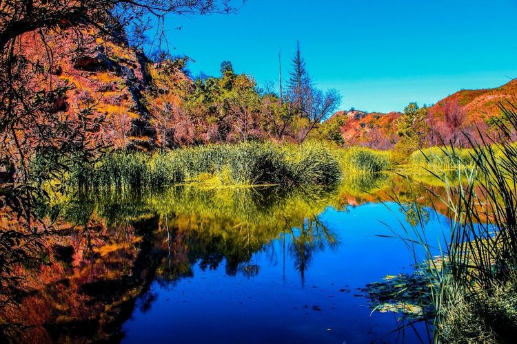 Malibu Creek State Park