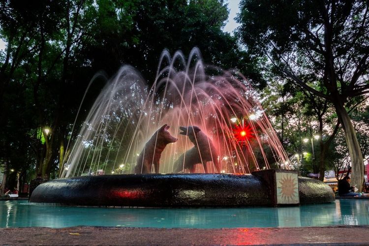 Coyoacán