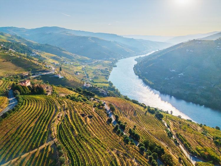 Vallée du Douro