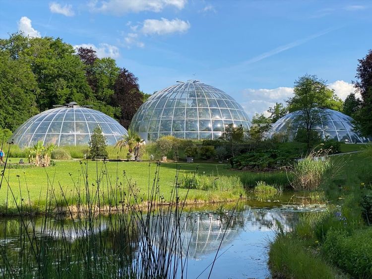 Jardin botanique Zurich
