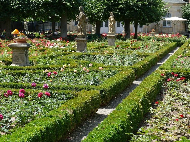 rose garden