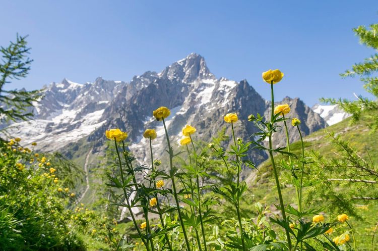 Rifugio Bonatti