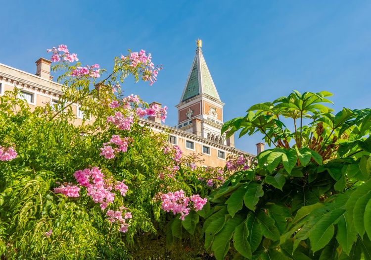 Venise printemps