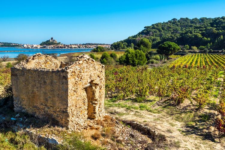 clape-vignoble-narbonne