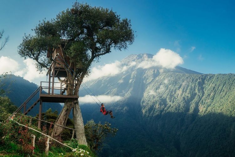 cabane perchée arbres