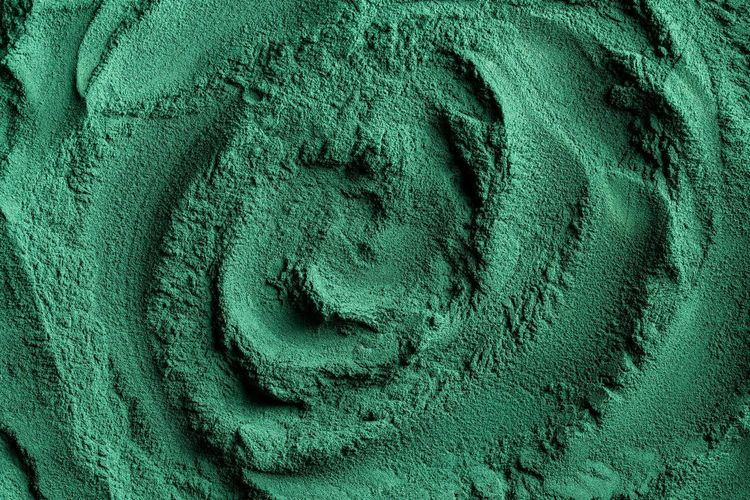 ferme spiruline
