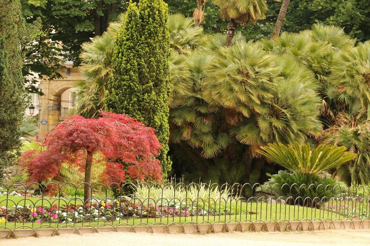 Jardin Serre de la Madone