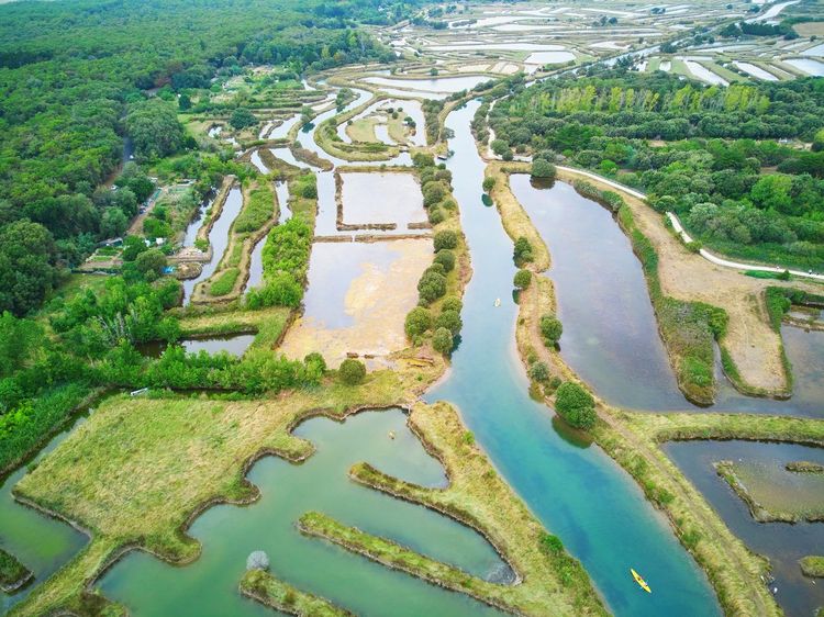 canoë-kayak Loire