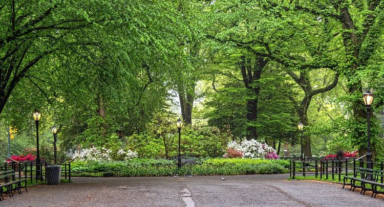 Central Park