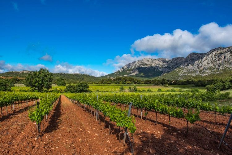 Montagne Sainte-Victoire