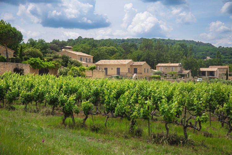 Vignobles Coteaux d'Aix-en-Provence