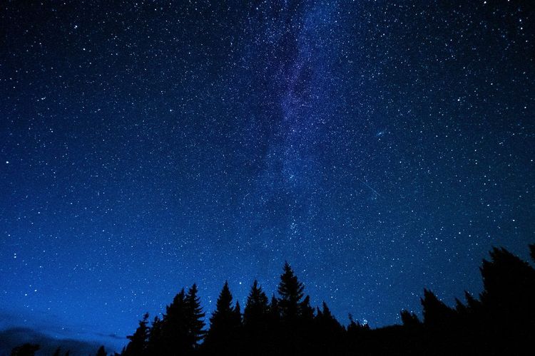 observation étoiles nuit claire