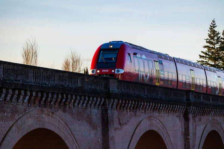 Albi transports en commun