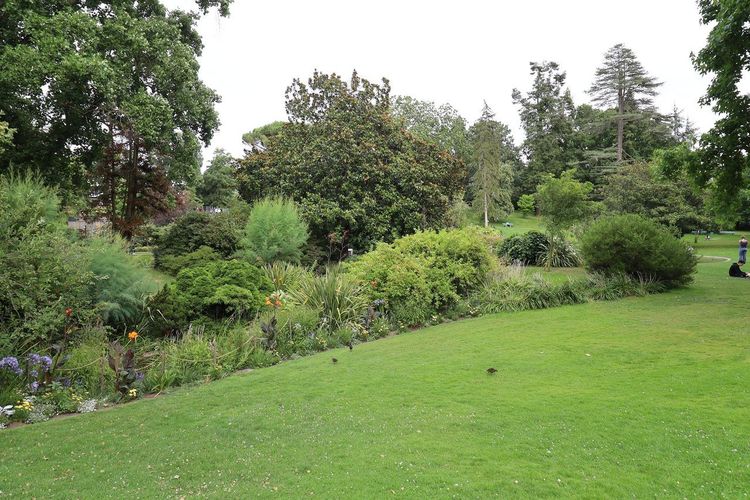 Roseraie Jardin des Plantes Angers