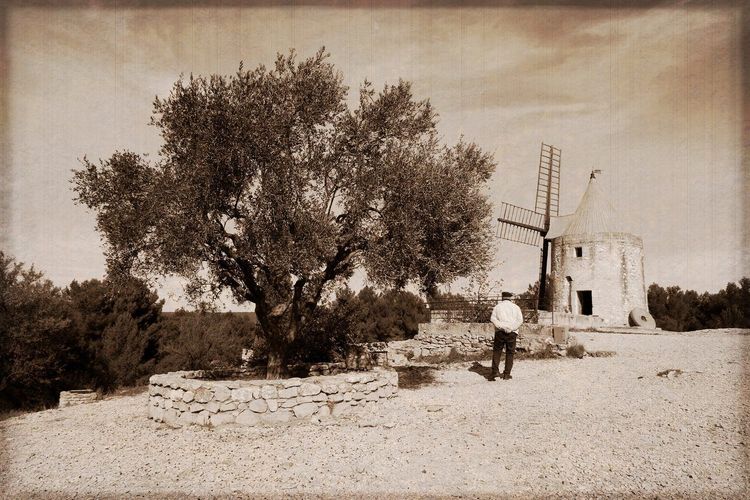 Alpilles Arles
