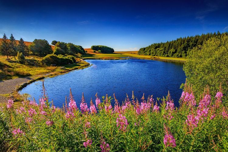 Lacs Aubrac