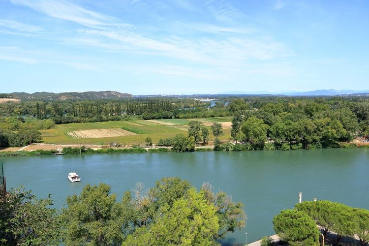 Île de la Barthelasse